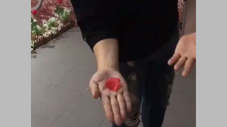 PETAL TO COIN | JL Magic