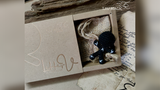 Letter V | Handy Altas