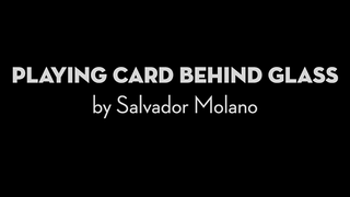 Playing Card Behind Glass | Salvador Molano - (Download)