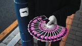 2012 VP 113 Pink Playing Cards | BOCOPO