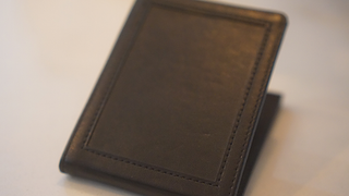 Chameleon Skin Wallet | Jim Steinmeyer