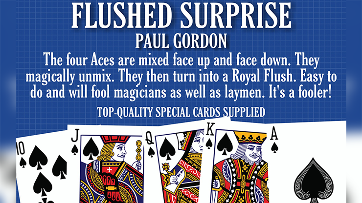 FLUSHED SURPRISE | Paul Gordon 