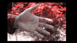 Metal Skin | Arnel Renegado - (Download)