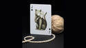 Cabinetarium Playing Cards | Art of Play
