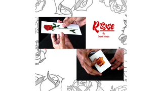 Rose | Segal Magia - (Download)