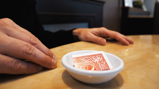 Switch Cup | Jérôme Sauloup & Magic Dream