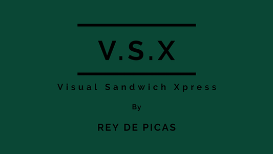 VSX (Visual Sandwich Xpress) | Rey de Picas - (Download)