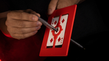 FIFTH DIMENSION (Gimmicks and Instructions) by Apprentice Magic  - Trick
