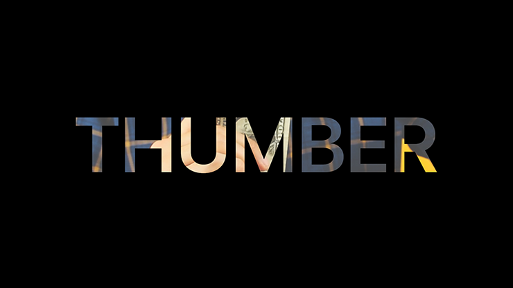 Thumber | Sultan Orazaly - (Download)
