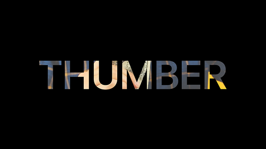 Thumber | Sultan Orazaly - (Download)