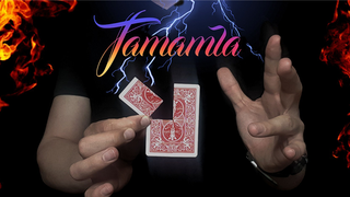 Tamamla | Sihirbaz Ali Riza - (Download)