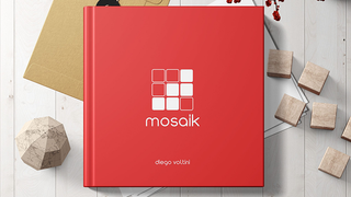 MOSAIK | Diego Voltini