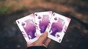 Lonely Wolf (Purple) Playing Cards | BOCOPO