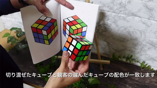 Book Cube Change SET | SYOUMA & TSUBASA