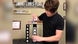 Smart Cubes PLUS (Medium/Parlor) | Taiwan Ben