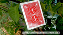 HONOR MARKED DECK RED | JL Magic