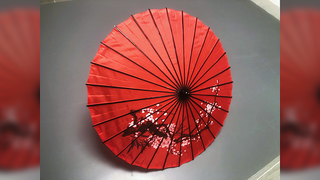 Dragon Parasol Set RED | LY & MS Magic