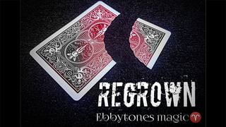 Regrown | Ebbytones - (Download)