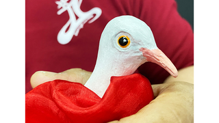 FINGER DOVE | JL Magic 