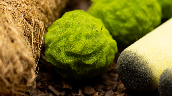 Cannabis Sponge Balls and Never Ending Spliffs | Adam Wilber