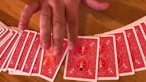 BLACK CROSS | Mickael Chatelain