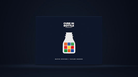 Cube in Bottle Project | Taylor Hughes & David Stryker