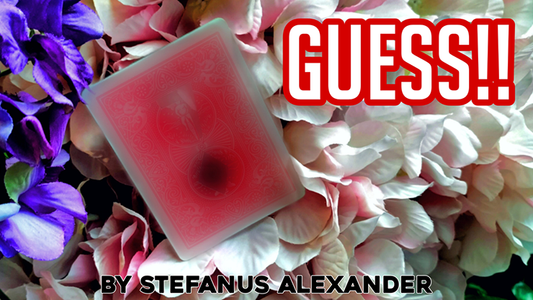 GUESS | Stefanus Alexander - (Download) 