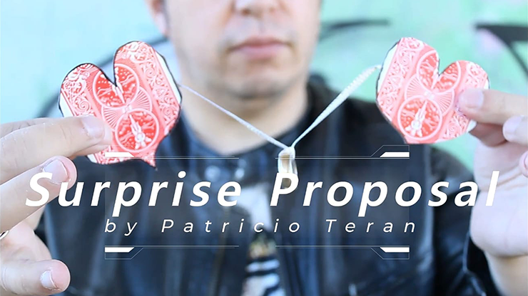 Surprise Proposal | Patricio Teran - (Download) 