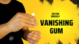 The Vault - Vanishing Gum by Sultan Orazaly video DOWNLOAD