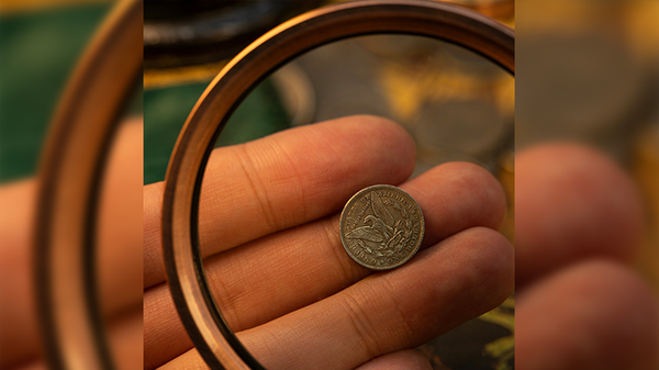 Mini Morgan (pack of 5) | N2G