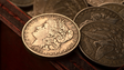 Mini Morgan (pack of 5) | N2G