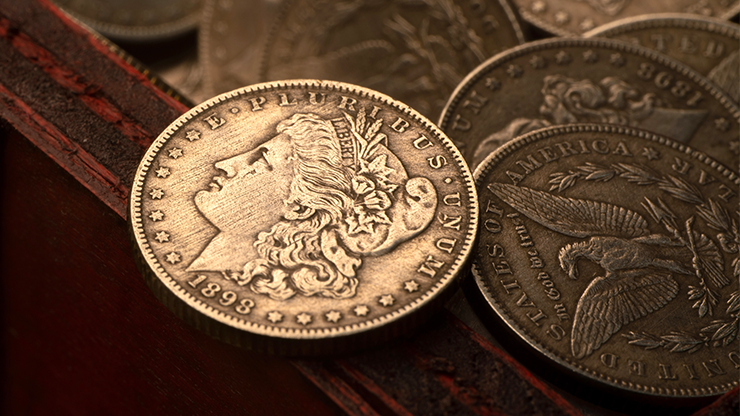 Mini Morgan (pack of 5) | N2G