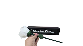 Rainbow Rose | JL Magic