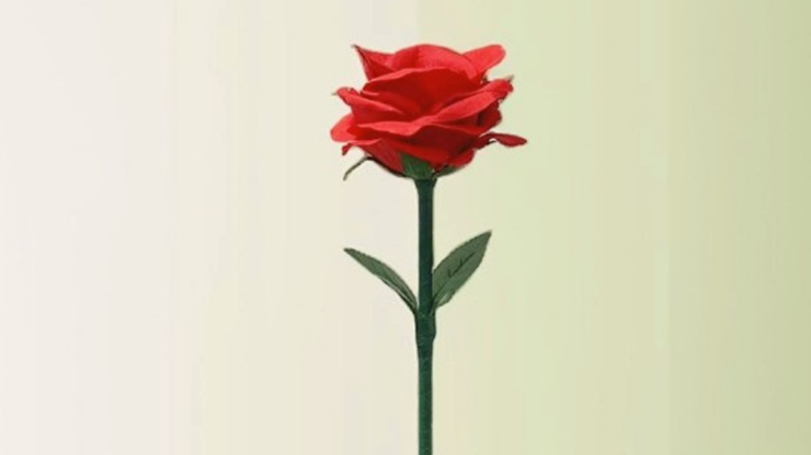 Rainbow Rose | JL Magic