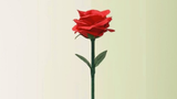 Rainbow Rose | JL Magic