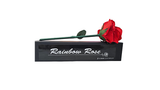 Rainbow Rose | JL Magic