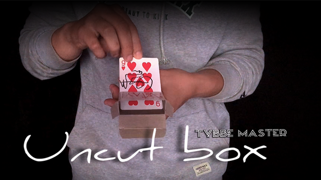 UNCUT BOX | Tybbe Master