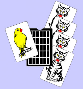 Canary Cats | Edwin