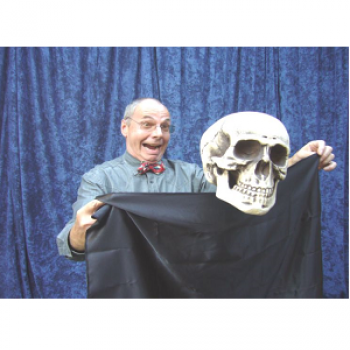 Harris Skully - The floating skull 