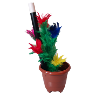 Anti-Gravity Flower Pot | Premium Magic