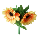 Amazing Split Sunflower | Premium Magic