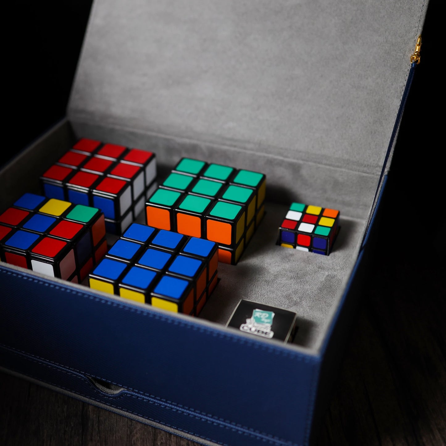 COLLECTOR BOX | HENRY HARRIUS