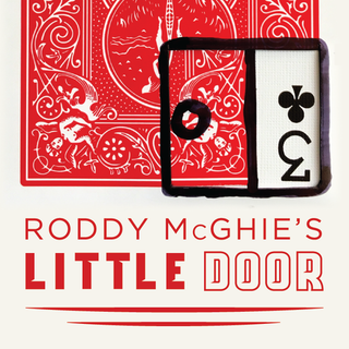 Little Door | Roddy McGhie