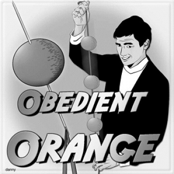 The Obedient Orange | VIKING 