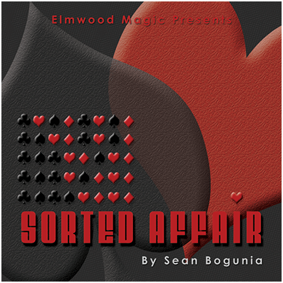 Sorted Affair (2013) | Sean Bogunia
