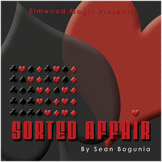 Sorted Affair (2013) | Sean Bogunia