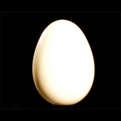 Wooden Egg | Uday