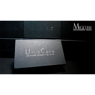 The Ultra Cane (Appearing / Metal) Black | Bond Lee 